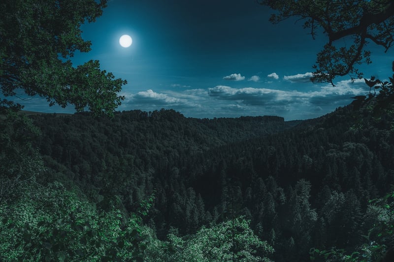Sun and Moon Gown